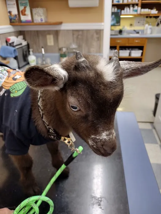 Red Barn Animal Hospital Picture 8
