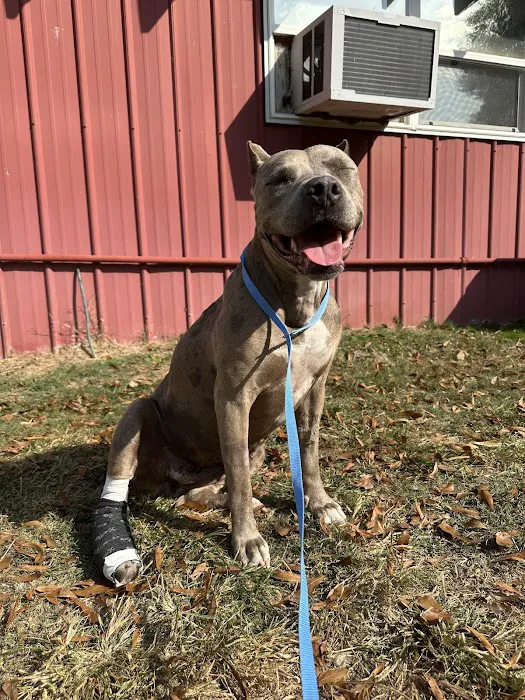Red Barn Animal Hospital Picture 6