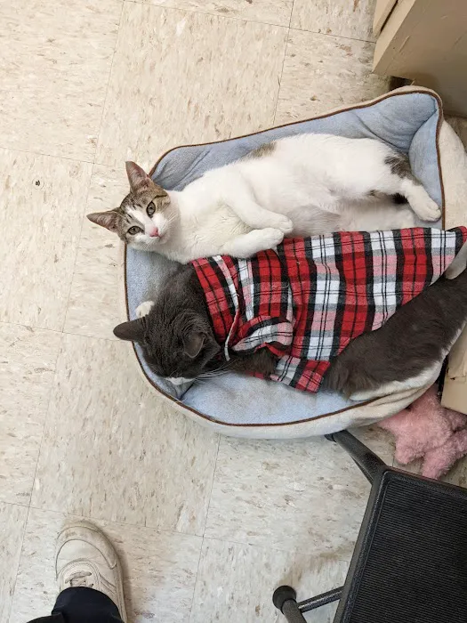 Albertville Animal Hospital Picture 1