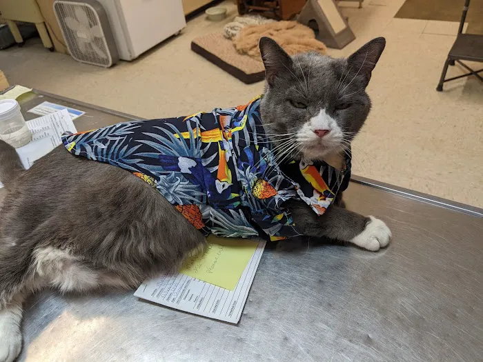 Albertville Animal Hospital Picture 2