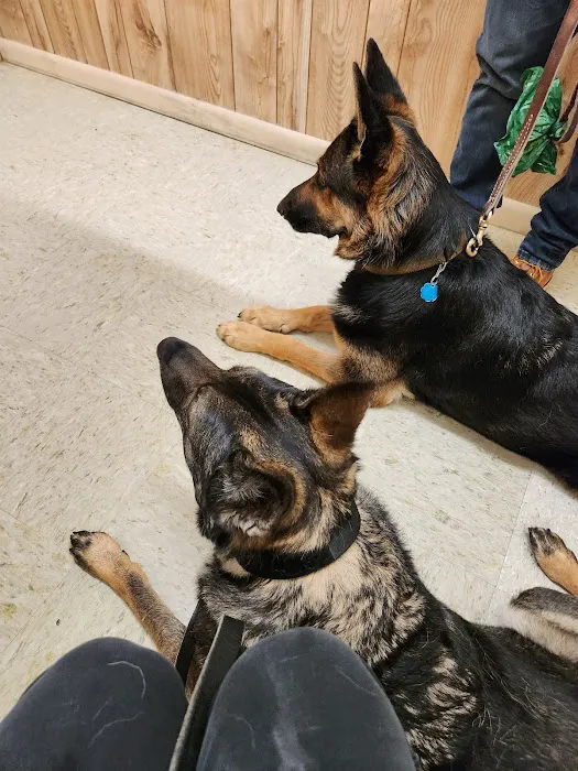 Albertville Animal Hospital Picture 9