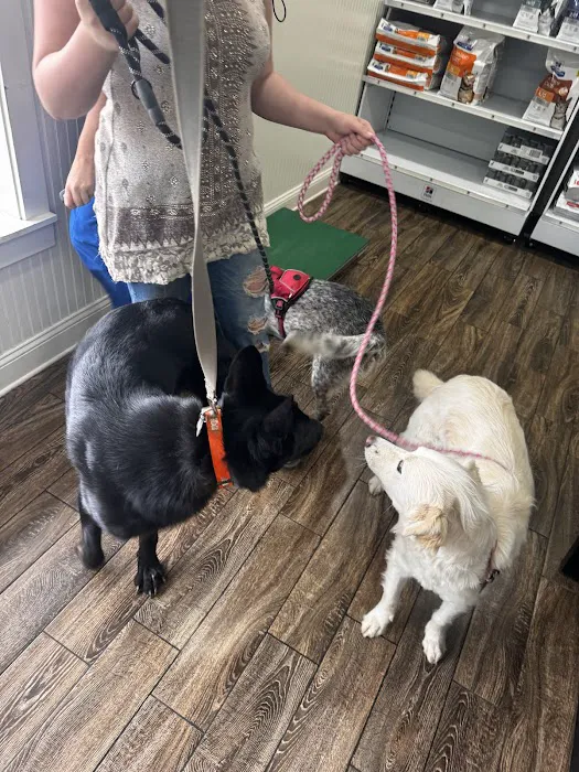 B & A Animal Hospital Picture 7