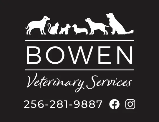 Bowen Veterinary Services Picture 3