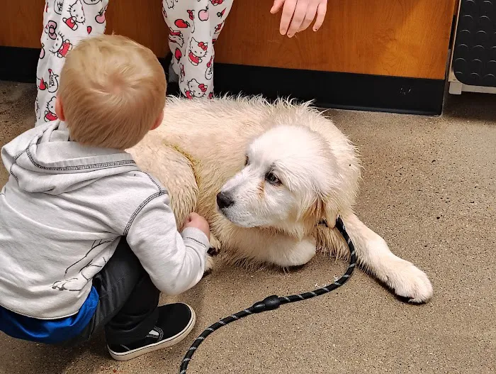 PetSmart Veterinary Services - Wausau Picture 3