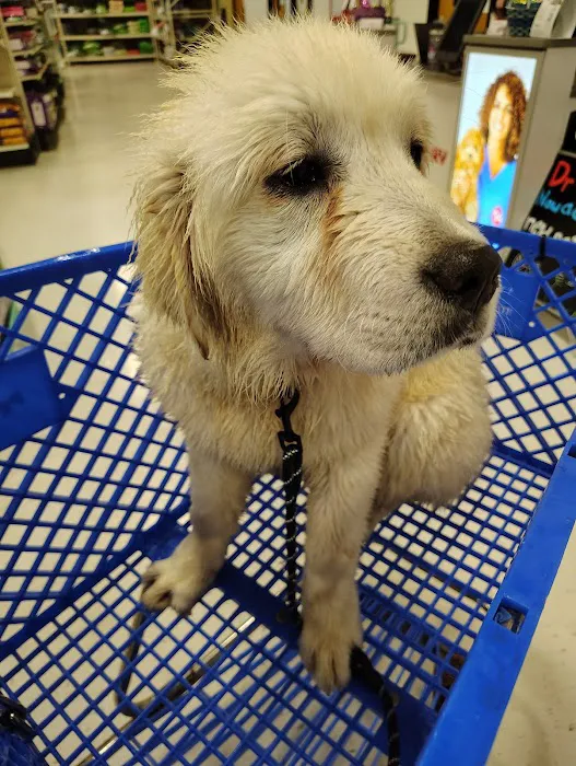 PetSmart Veterinary Services - Wausau Picture 1