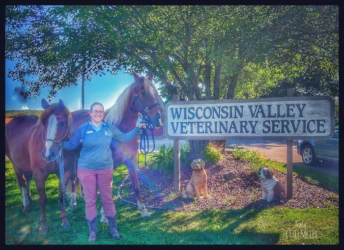 Wisconsin Valley Veterinary Service Picture 9