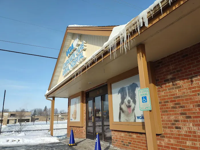 VCA Companion Care Animal Hospital Picture 1