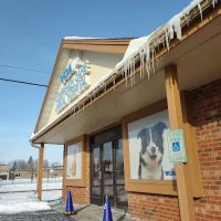 VCA Companion Care Animal Hospital ico