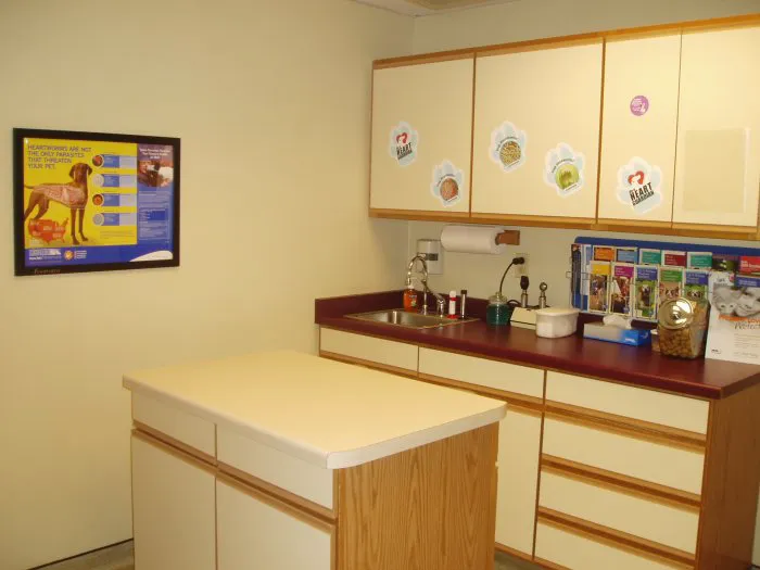 VCA Companion Care Animal Hospital Picture 7