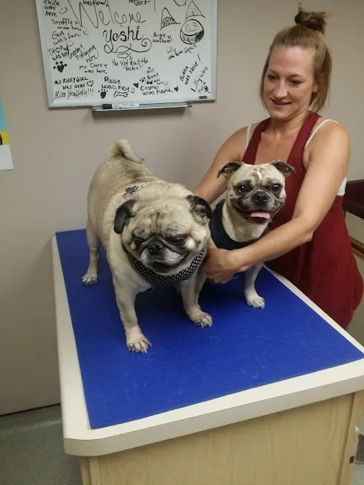 VCA Companion Care Animal Hospital Picture 3