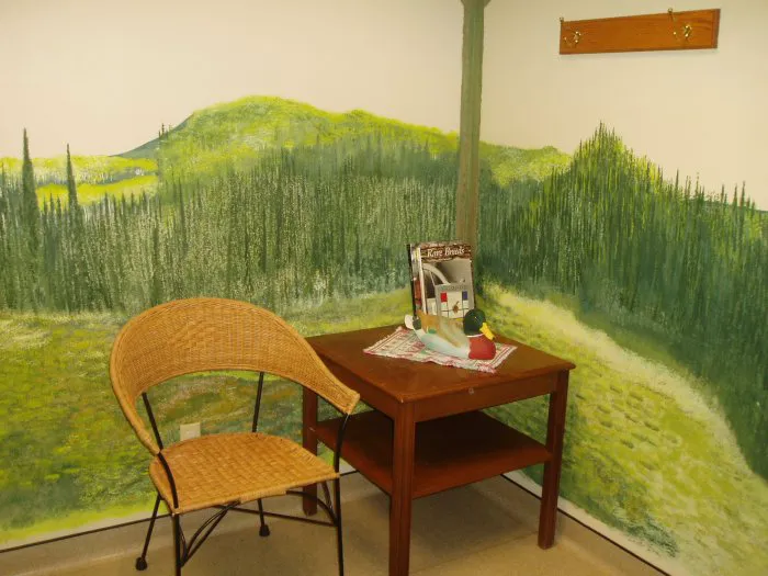 VCA Companion Care Animal Hospital Picture 6