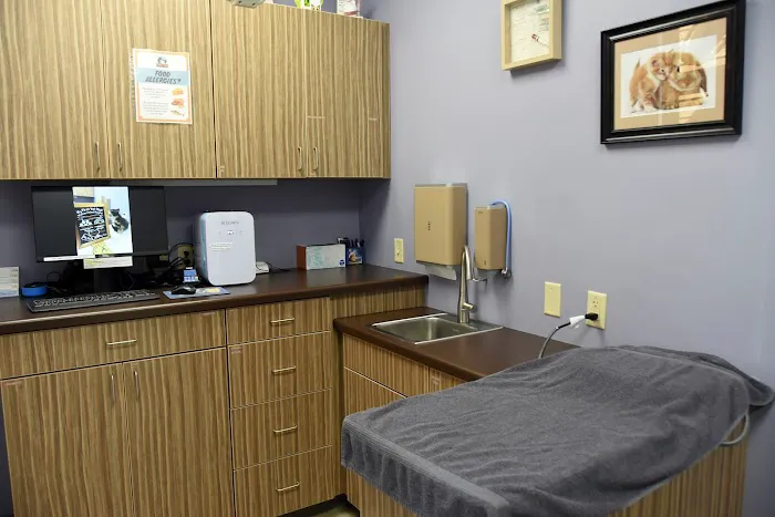 Wausau Animal Hospital Picture 2