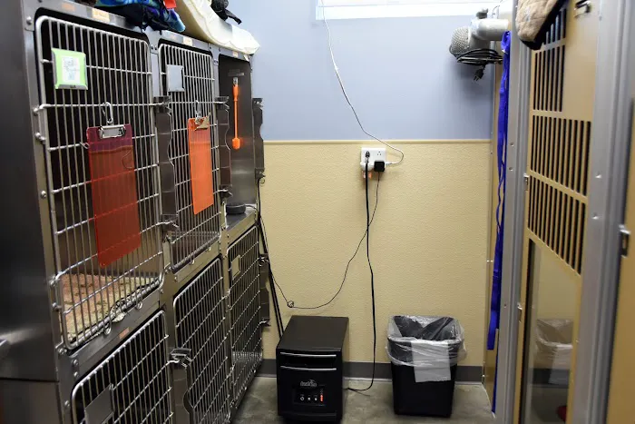 Wausau Animal Hospital Picture 7