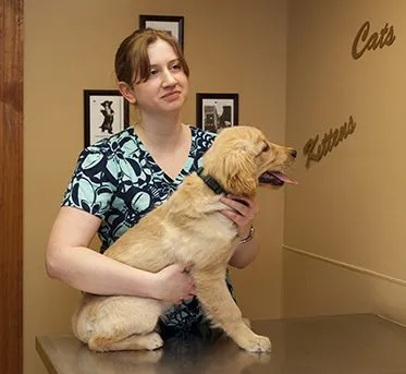 Kronenwetter Veterinary Care Picture 6