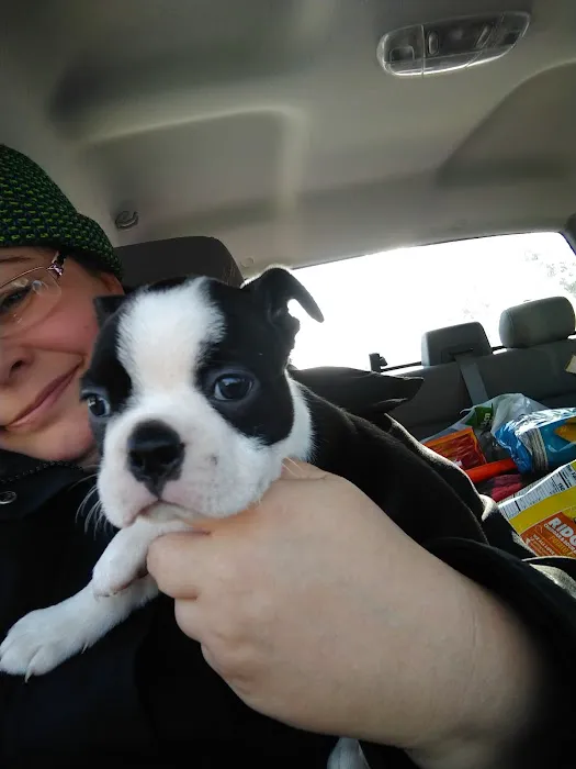 All Care Animal Hospital Picture 3