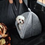 Animal Medical And Surgical Clinic