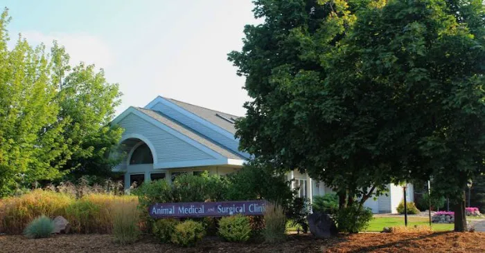 Animal Medical And Surgical Clinic Picture 10