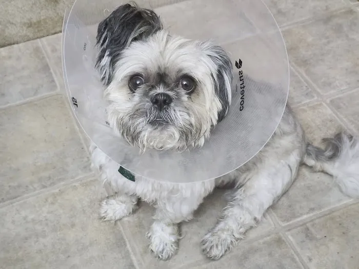 Point Area Veterinary Clinic Picture 1