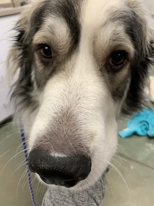 Woodhaven Animal Health Picture 7