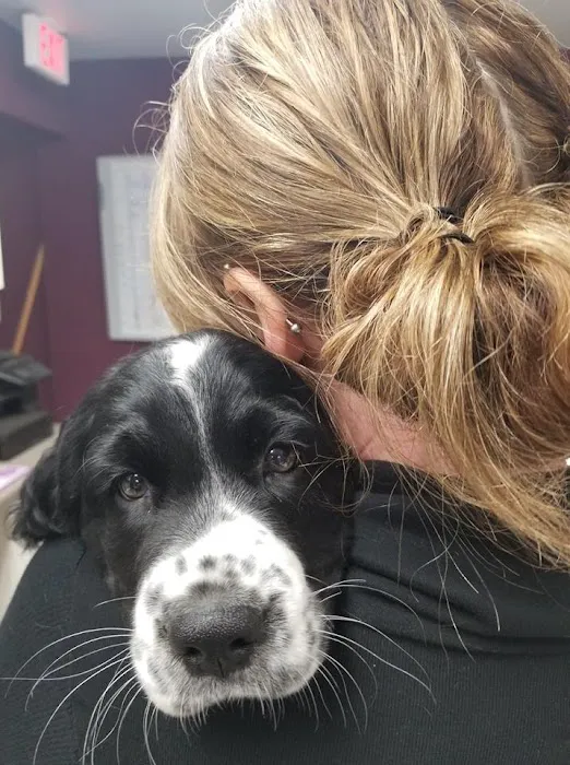Oakview Veterinary Medical Center Picture 10