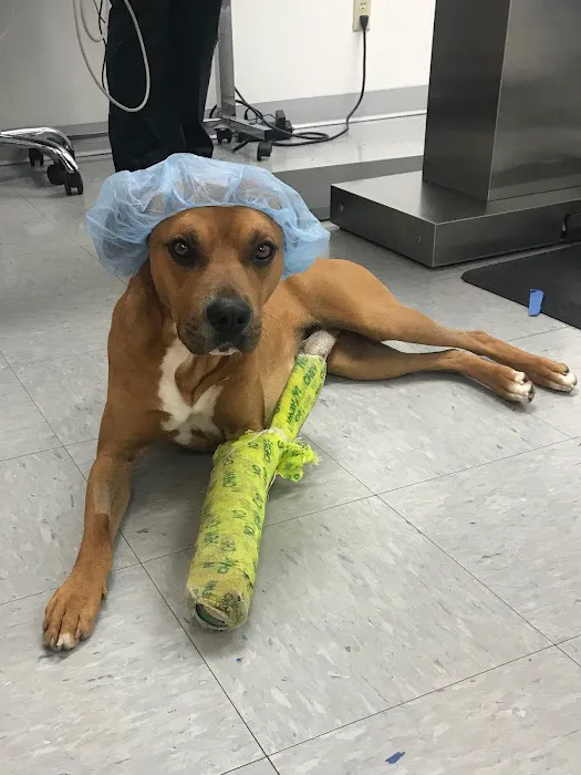 Sparta Small Animal Veterinary Clinic, S.C. Picture 6