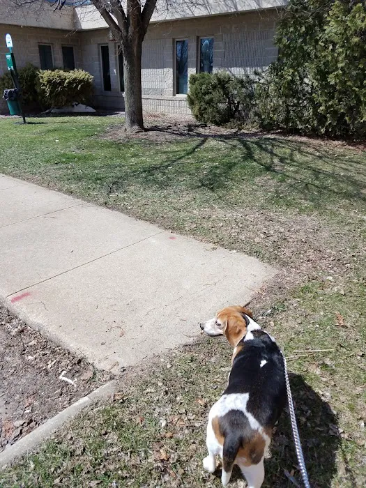 Morganside Veterinary Clinic Picture 6