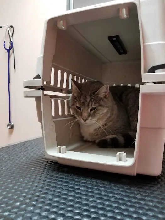 Lakes Veterinary Hospital Picture 3