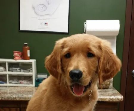 Lake Region Small Animal Center
