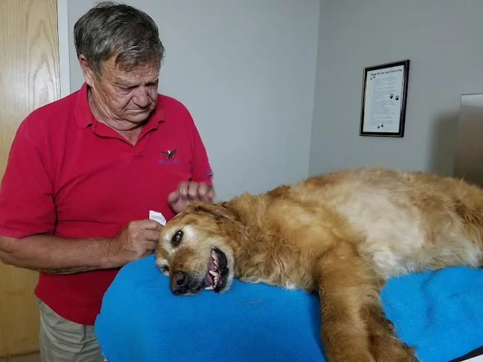 Animal Care Center Picture 6