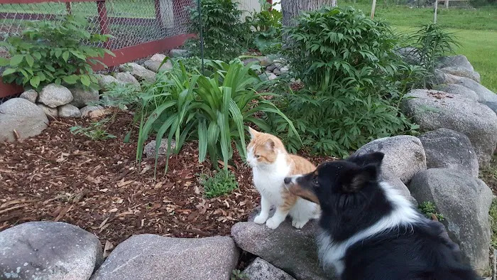 Animal Care Center Picture 9