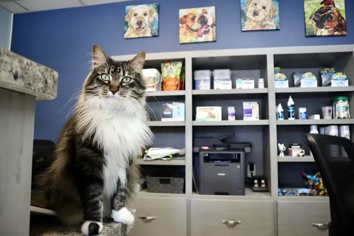 Brainerd Animal Hospital Picture 6