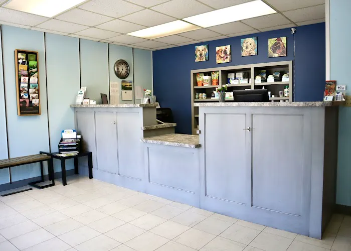 Brainerd Animal Hospital Picture 10