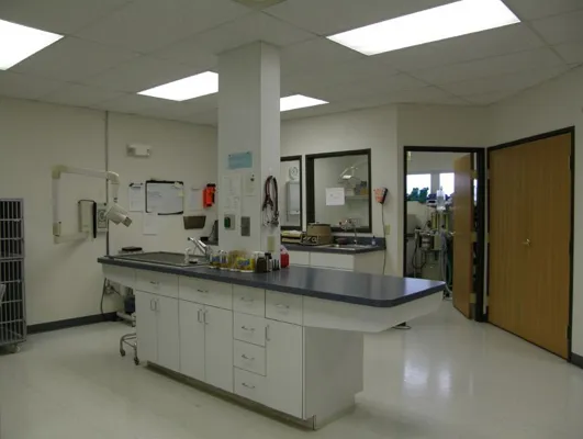 Pequot Lakes Animal Hospital Picture 10