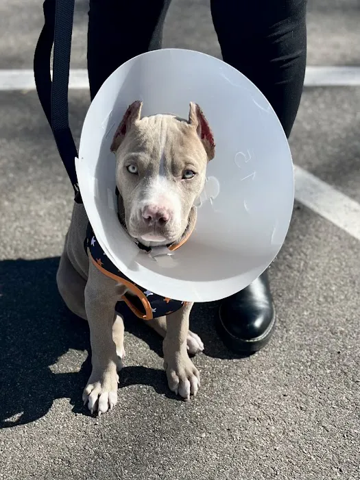 Powell Veterinary Service, Inc. Picture 1