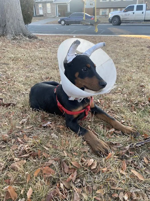 Powell Veterinary Service, Inc. Picture 3