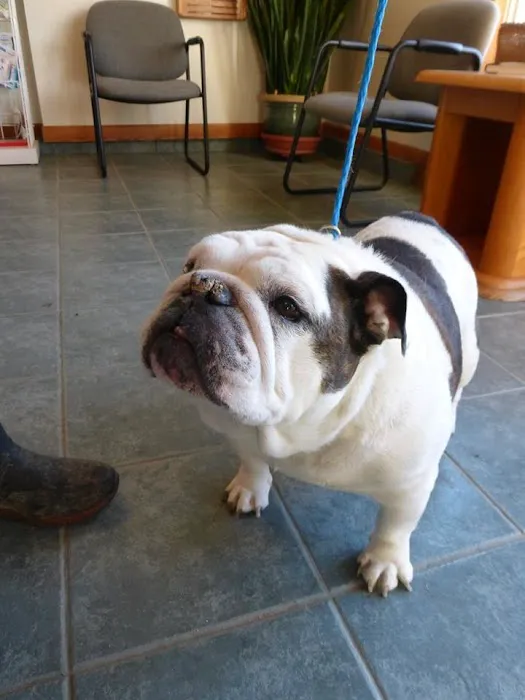 Powell Veterinary Service, Inc. Picture 10