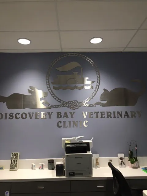Discovery Bay Veterinary Clinic Picture 1