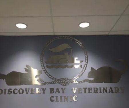 Discovery Bay Veterinary Clinic