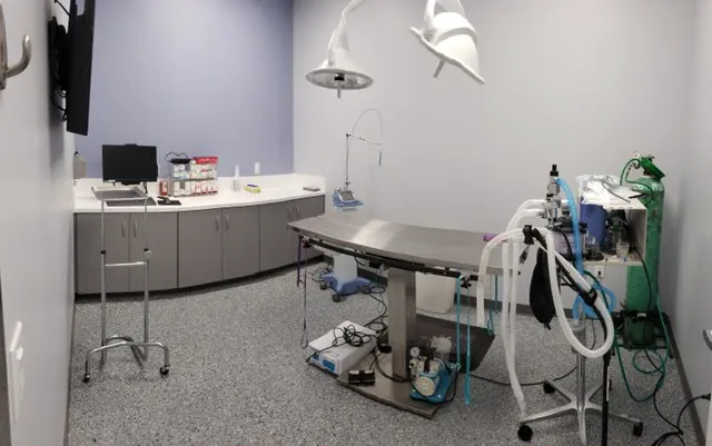 Discovery Bay Veterinary Clinic Picture 6