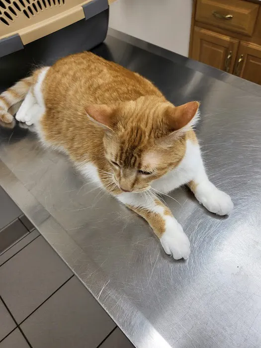 Northside Veterinary Hospital Picture 5