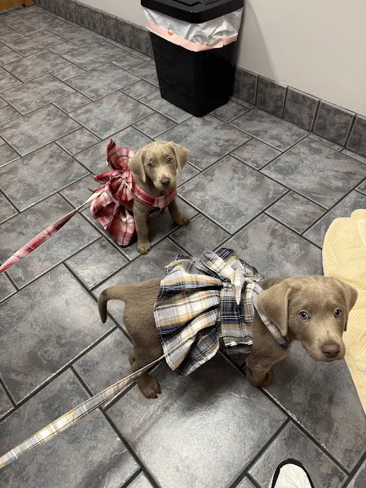Lakeshore Animal Hospital Picture 1