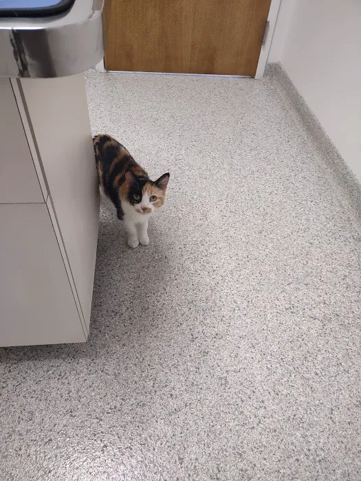Animal Clinic of Muskegon Picture 1