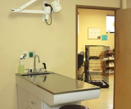 Glenpark Animal Hospital