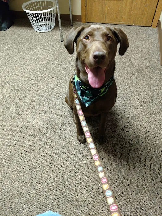 Big Lake Community Animal Clinic Picture 3