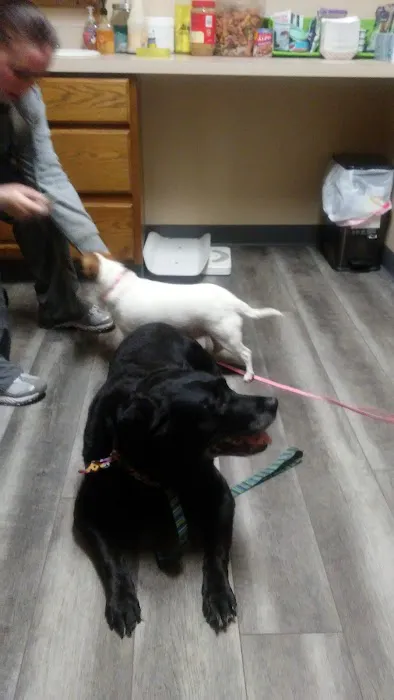 Big Lake Community Animal Clinic Picture 2