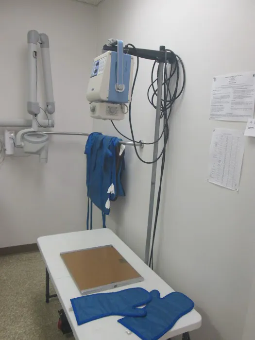 Grace Animal Hospital Picture 3