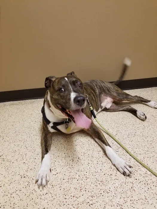 Faith Animal Care Picture 2