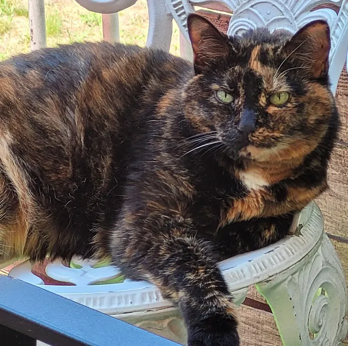 Faith Animal Care Picture 8
