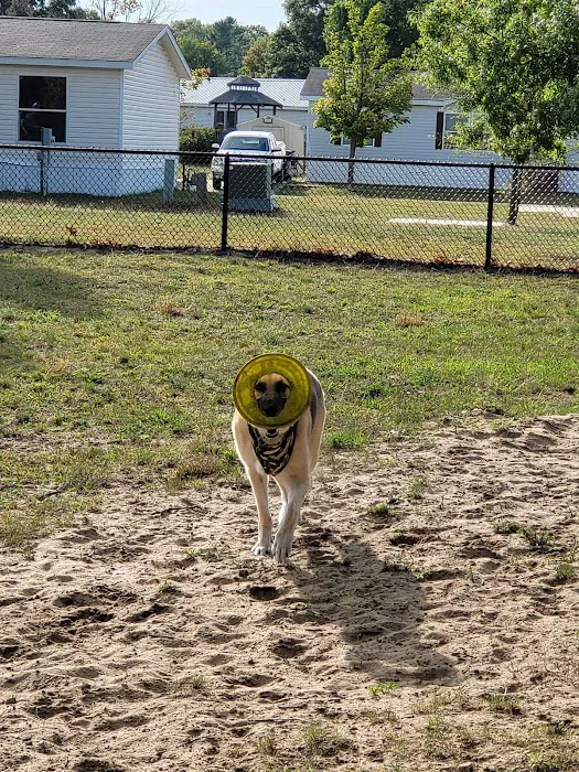 Faith Animal Care Picture 6