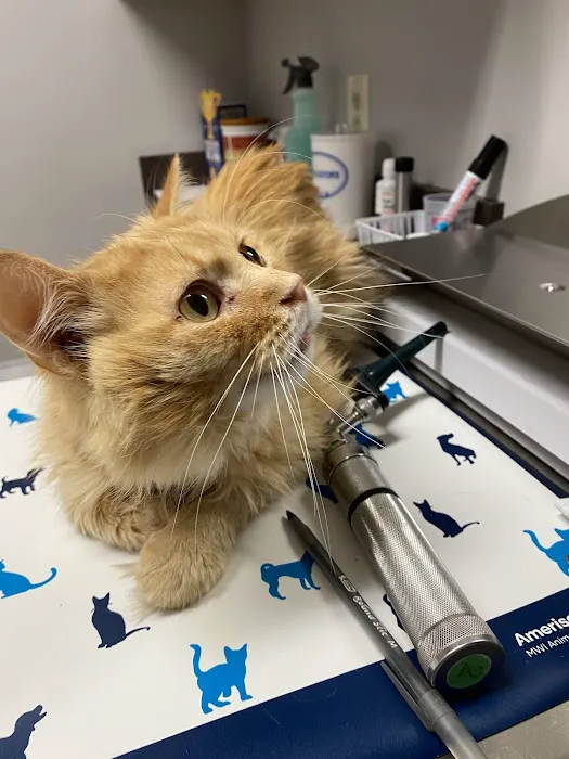 Faith Animal Care Picture 10